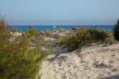 mallorca-374074_1920