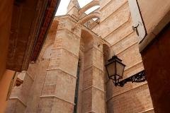 DSCN1336