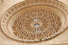 DSCN1343