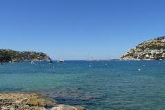 summer-2467651_1920
