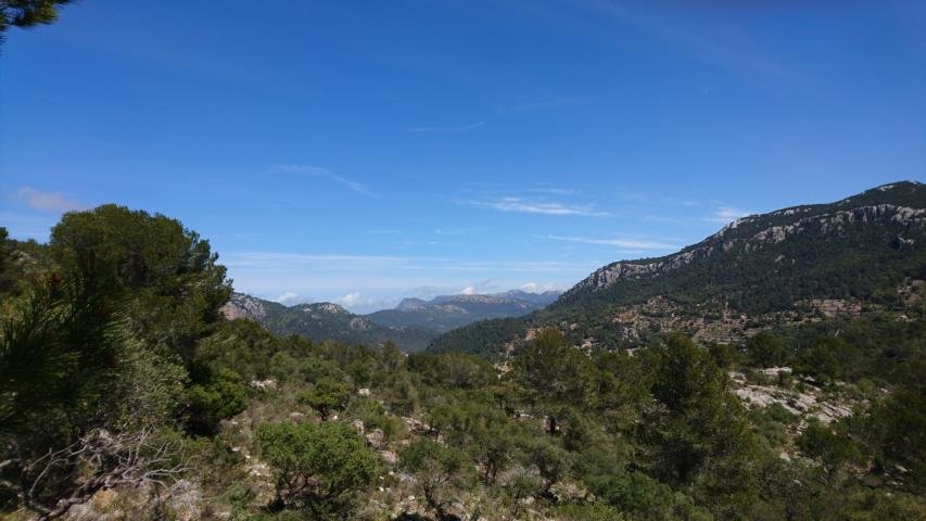 Mallorca Mountainbike Tour