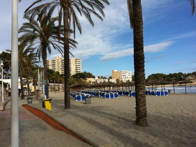 Paguera Playa Palmira