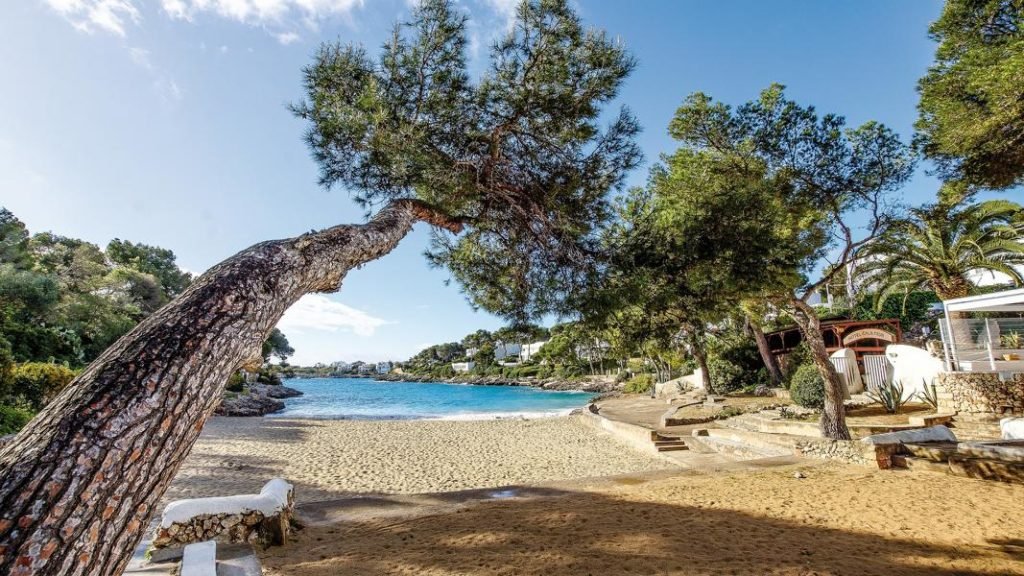 Eine Bucht in Cala D’Or