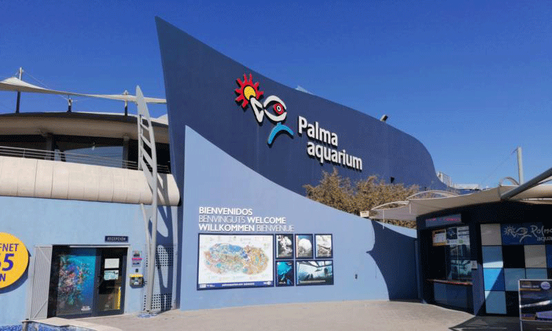 Auquarium Palma de Mallorca Eingang