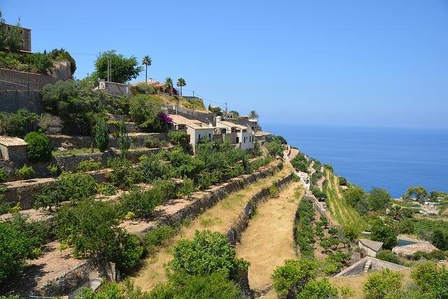 Terrassen zum Weinanbau in Banyalbufar