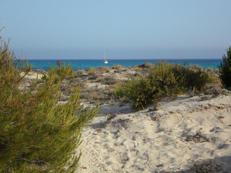 Es Trenc Dünenlandschaft Mallorca