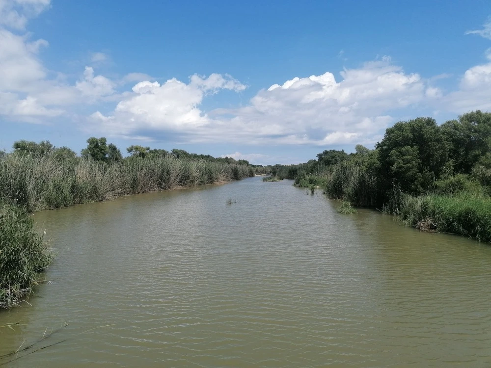 Feuchtgebiet S'Albufera