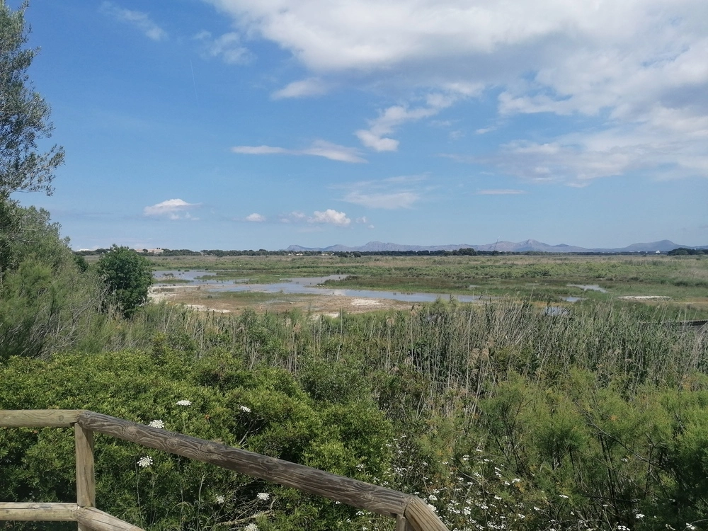 Blick auf den Park S'Albufera