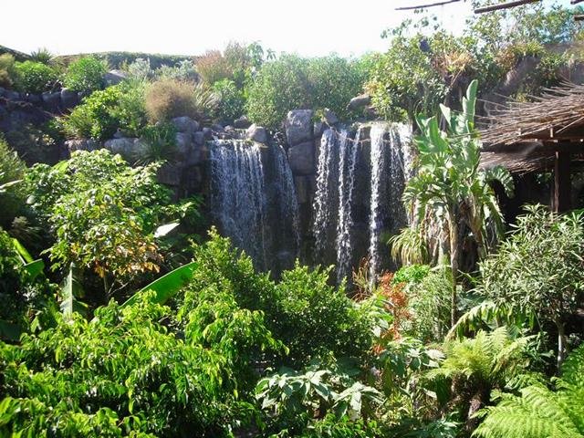 Wasserfall im Dschungel Abteil