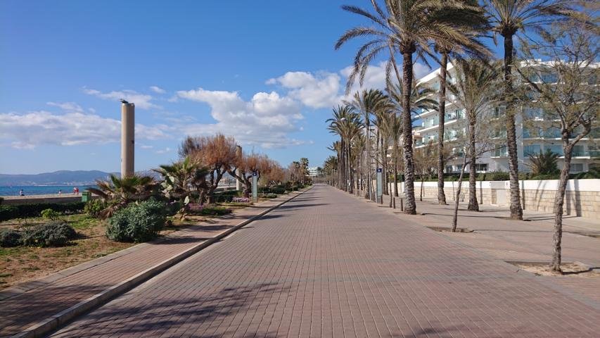 promenade bei el arenal