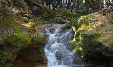 Wasserfall Salt des Freu Vorschau