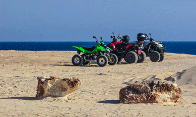 Quads Mallorca Vorschau