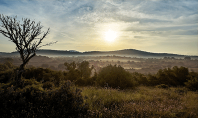Naturreservate Mallorca