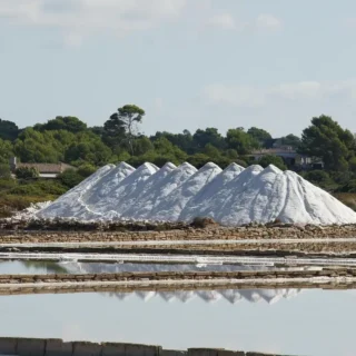 Ses Salines de Llevant