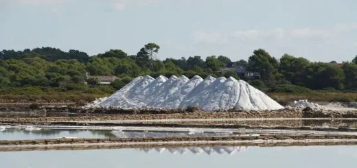 Ses Salines de Llevant