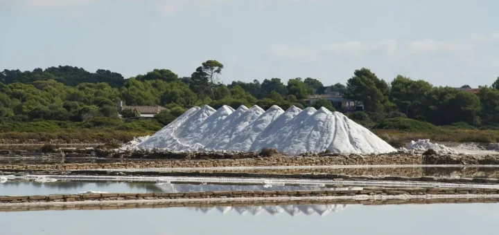 Ses Salines de Llevant