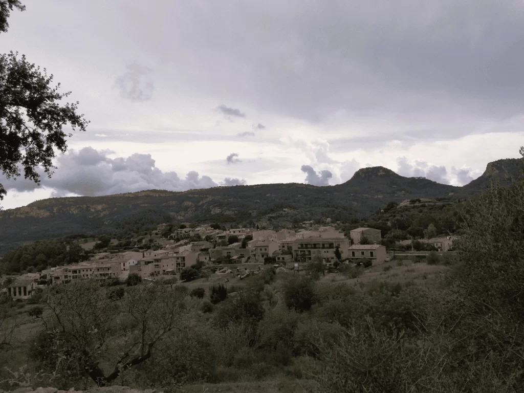 Mallorca im Januar